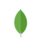 MongoDB